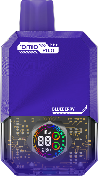 ROMIO PILOT 블루베리