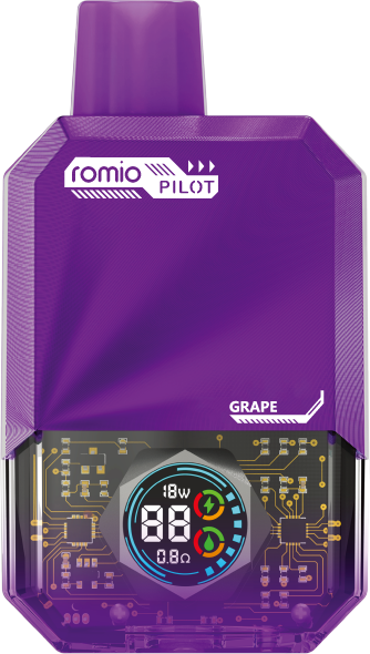ROMIO PILOT 포도